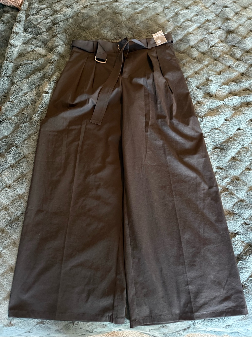 Wide Leg Pleated Pants in Black
